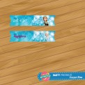 Μίνι σημαιάκια flags Frozen Μίνι σημαιάκια flags Frozen